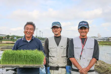 新米 [令和8年産／10月中旬より順次発送] 伊勢原産 精米 10kg (5kg×2袋) はるみ 農家直送！亀井さんちのうんめぇ！自家製米 [1139]