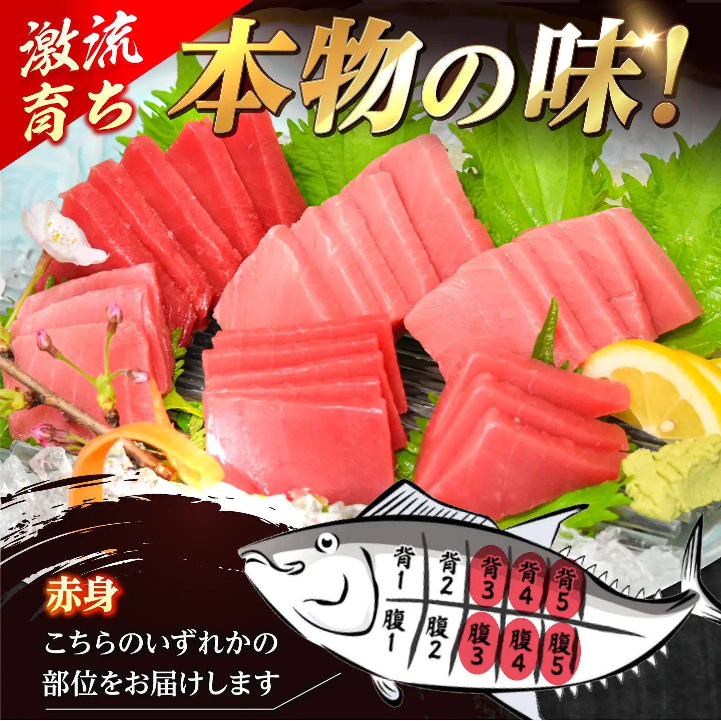 【数量限定！】【どこを切ってもうまい！濃厚な味わい】金太郎 マグロ 冷凍 ブロック 赤身 約900g【徳丸】[RAC033]