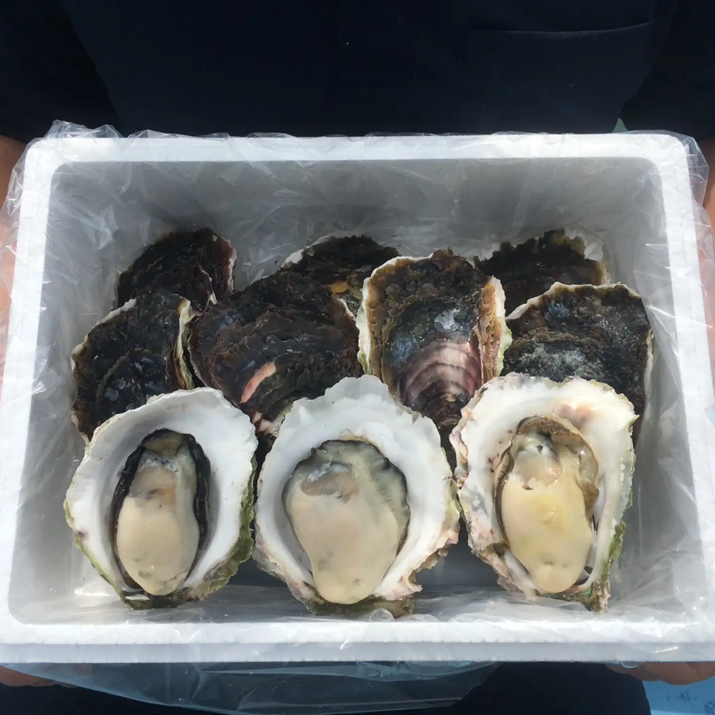 【超極濃】長崎県 五島列島産 生食用 岩牡蠣 20個入 2kg以上【マルオト】[RCS003]