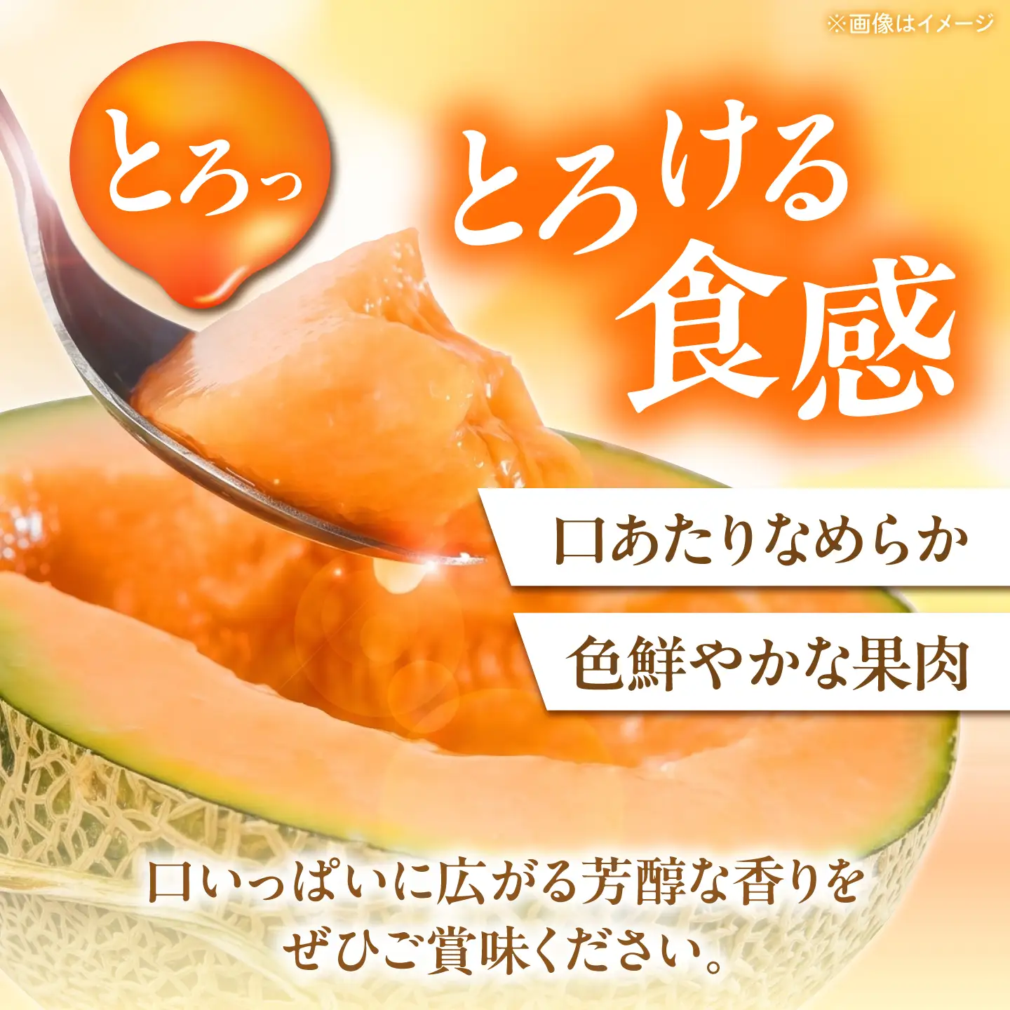 メロン キングルビー 2玉（2kg以上/玉）[AJAY001] メロン 北海道