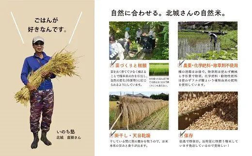 自然米の玄米餅 お餅 自然栽培 無農薬 無化学肥料 自然栽培 栽培期間中_A0038-016