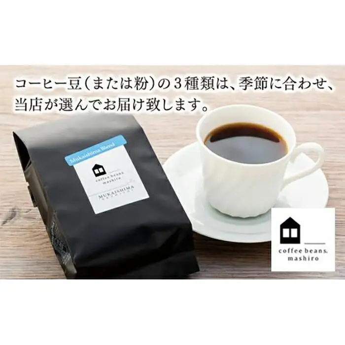 【お中元ギフト】【向島の珈琲豆焙煎所】スペシャルティコーヒー詰め合わせ１