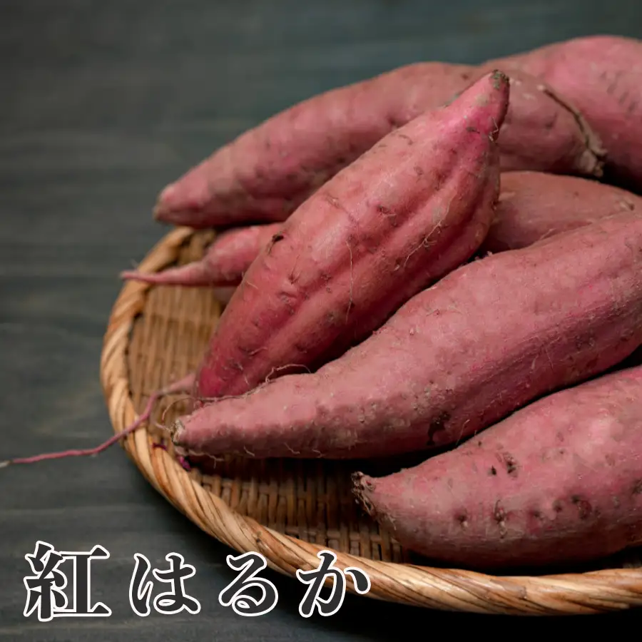 さつまいも 熟成 紅はるか 約10kg 国産 焼き芋 焼芋 やきいも しっとり 蜜芋 芋 おいも サツマイモ さつま芋 べにはるか スイーツ おやつ 産地直送 栽培期間中農薬不使用 高知県 大月町産