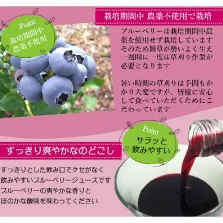 【栽培期間中農薬不使用】遠野のブルーベリーから絞った原液2本セット【1334415】