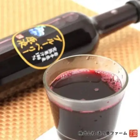 【栽培期間中農薬不使用】遠野のブルーベリーから絞った原液 180ml×2本セット 道の奥ファーム【1476685】