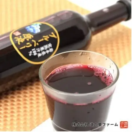 【栽培期間中農薬不使用】遠野のブルーベリーから絞った原液 180ml×4本セット 道の奥ファーム【1476687】
