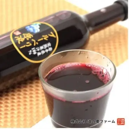 【栽培期間中農薬不使用】遠野のブルーベリーから絞った原液180ml×12本セット 道の奥ファーム【1476690】