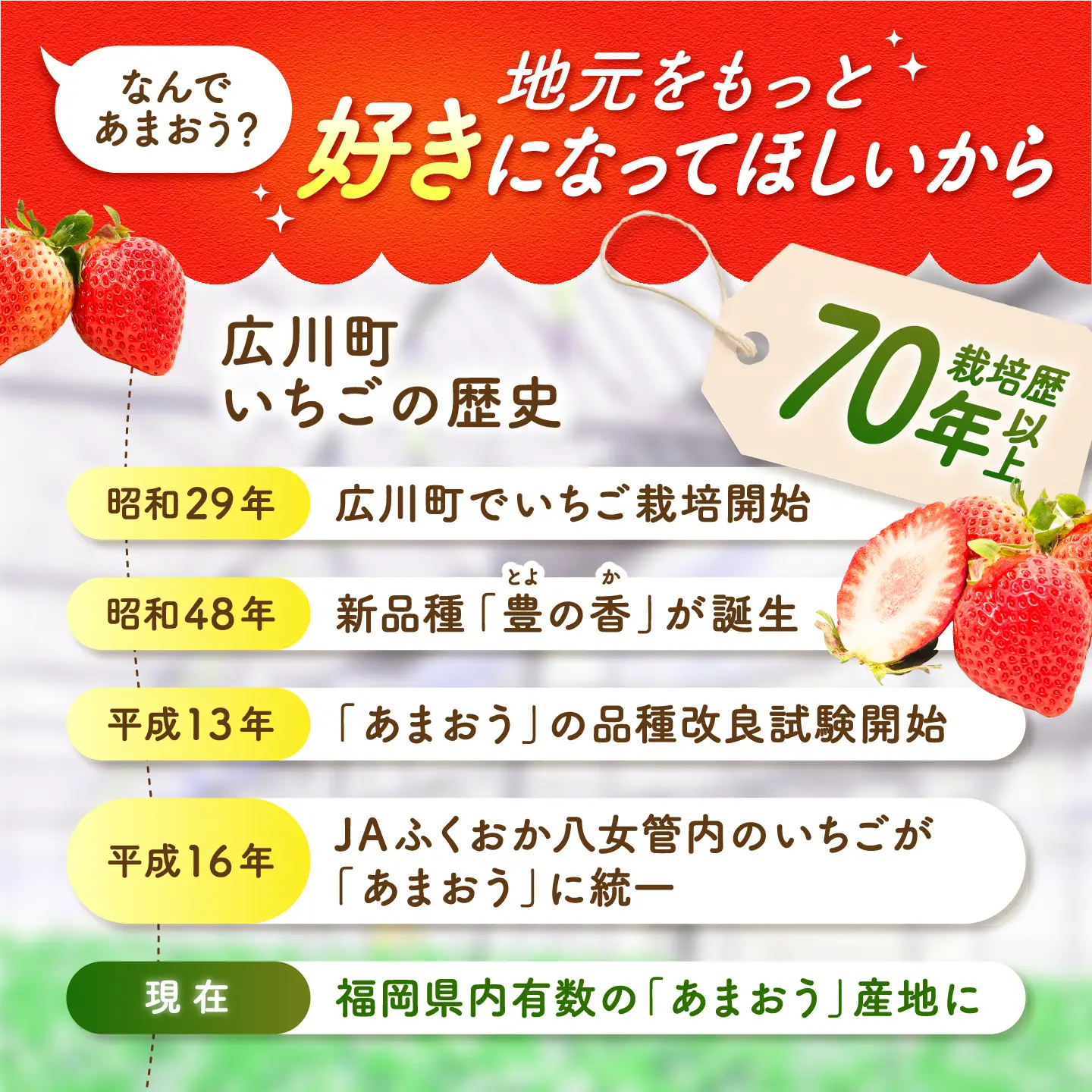 【4月発送】あまおうDX等級 1ケース（約270g×2パック） 広川町 / JAふくおか八女農産物直売所どろや[AFAB108]