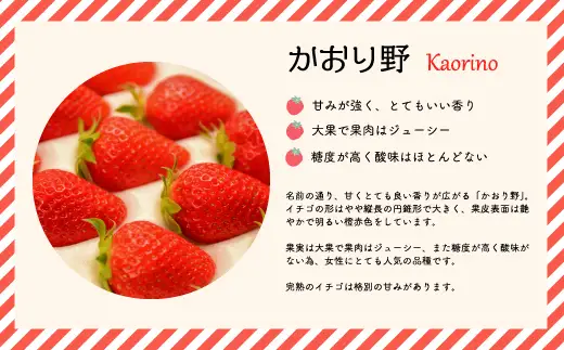 【令和9年1月～4月発送！】北海道浦河町産いちご食べ比べ定期便(全3回)[13-1629]