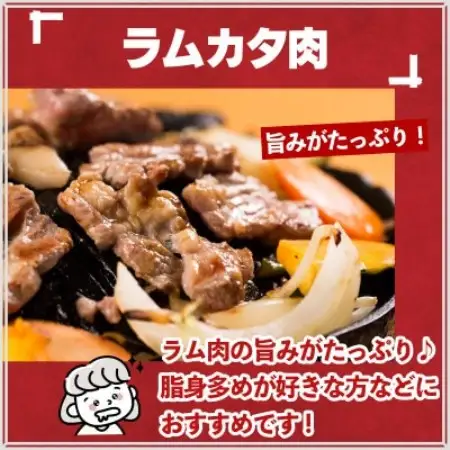 秘伝のタレ漬け 熟成 ジンギスカン ラムカタ 120g×5袋 冷凍 あんべ 安部商店【配送不可地域：離島】【1569001】