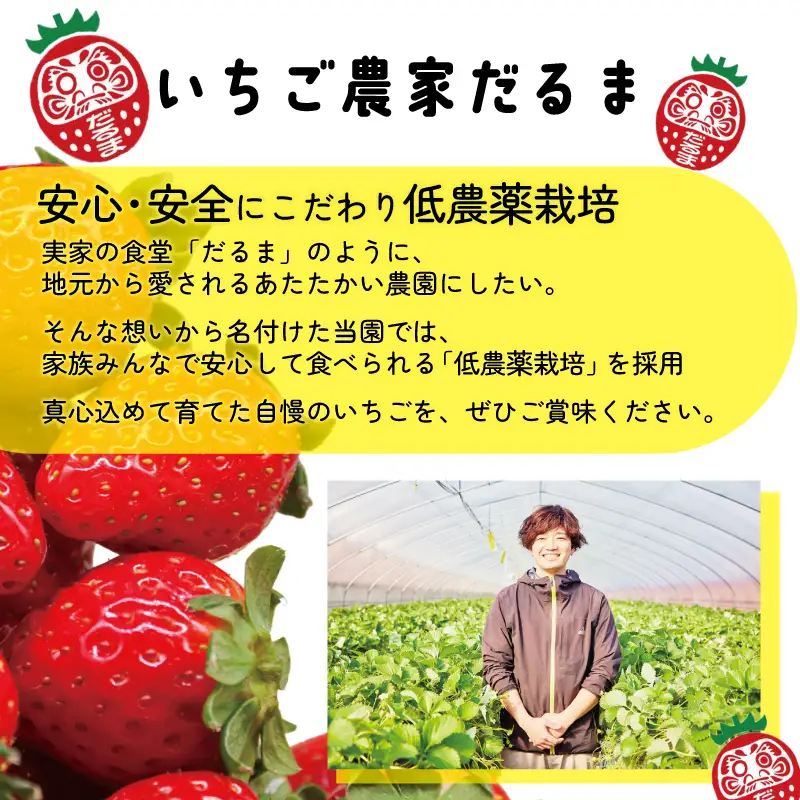 【2027年1月～発送予定】いちご 古都華 大粒 約270g×2パック drm003