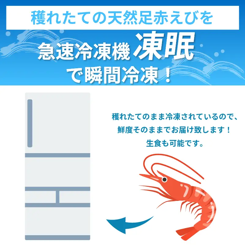 えび 3kg 足赤海老 えび
