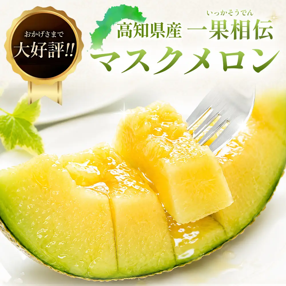 【先行予約】マスクメロン(家庭用) 2玉入 青肉品種 高級メロン！ ／ マスクメロン 果物 フルーツ 訳あり 産地直送 tn-0063