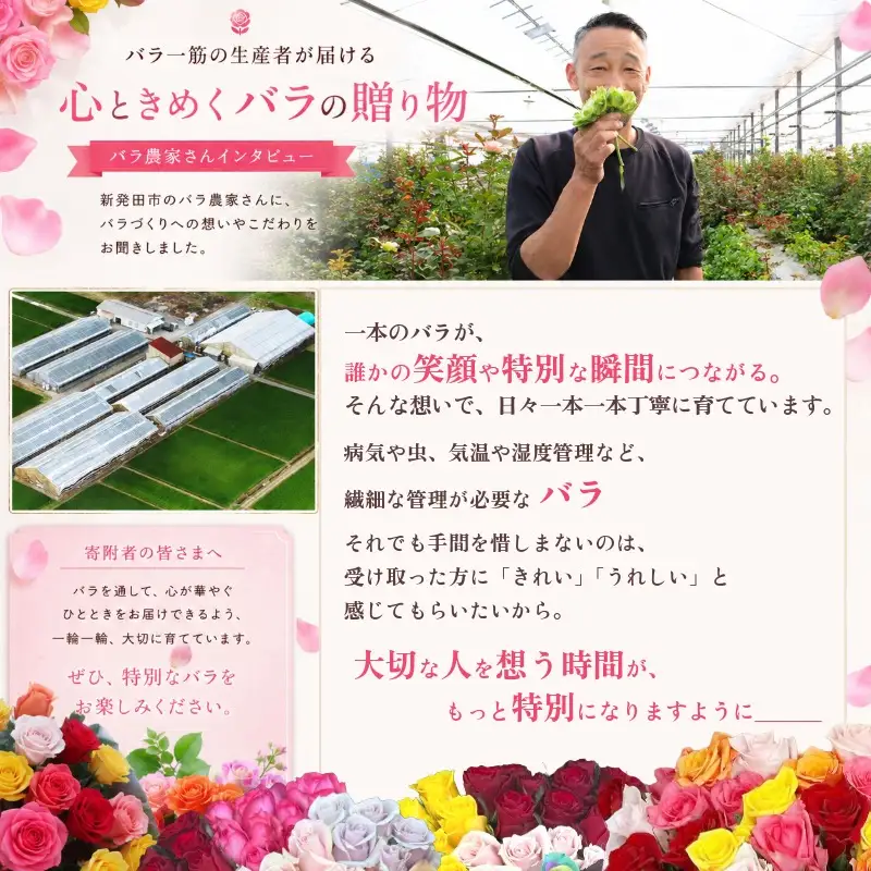 【自分へのご褒美】 お花 プレゼント バラ 花束 色 おまかせ 自宅用 家庭用 自分へのご褒美 自分用 おまかせブーケ 14本 花 生花 薔薇 ローズ プレゼント 贅沢 フラワー 雑貨 インテリア 生産者 お手軽 簡易包装 花瓶 直送 新潟県 新潟 新発田 お中元 花プラン plan003