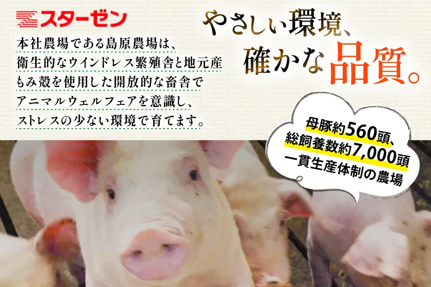 AK033 豚ロース とんかつ用 500g 3パック 計1.5kg