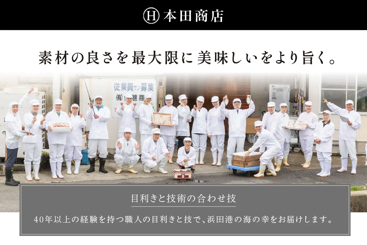 旬のいかづくし（するめいか、剣先いか（白いか）、やりいか、など） 【033_1791】