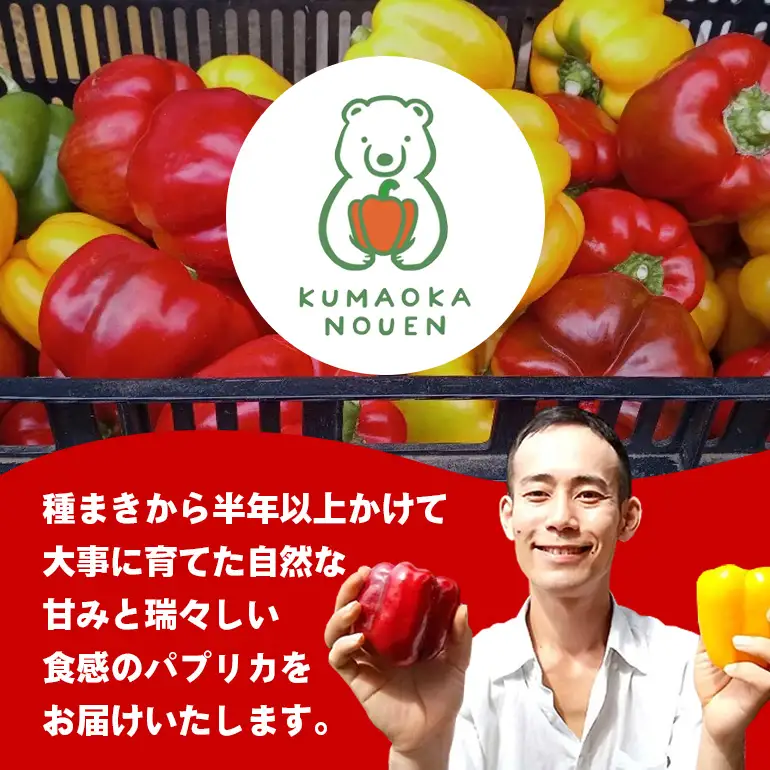 完熟国産パプリカ　赤・黄2色セット 2㎏ 熊岡農園 茨城 茨城県 石岡市 (A47-001)