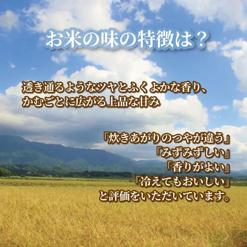 今摺米 こしいぶき 5kg （ 5kg × 1袋 ） 令和7年産 JA ブランド米 米 お米 米5kg 精米 いまずりまい ごはん こめ おむすび おにぎり 弁当 おかず 色彩選別 鮮度 雪解け水 贈答 ギフト 国産 新潟 新発田 JA北新潟 こったま～や JA011