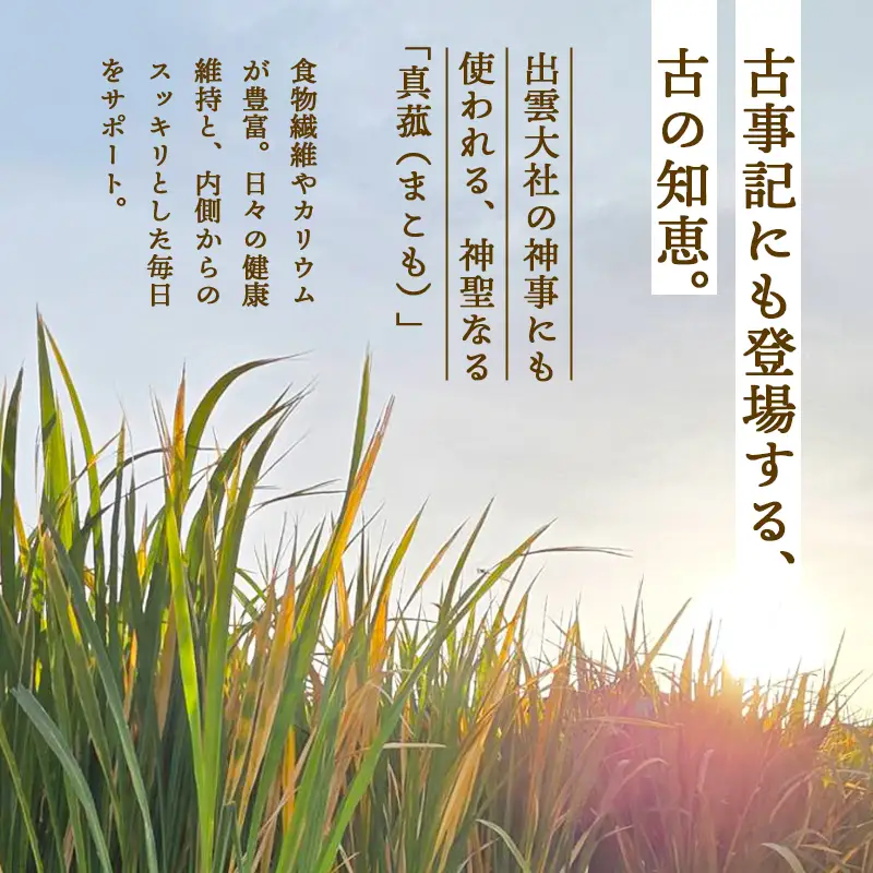 マコモダケ 1kg | 栽培期間中農薬不使用