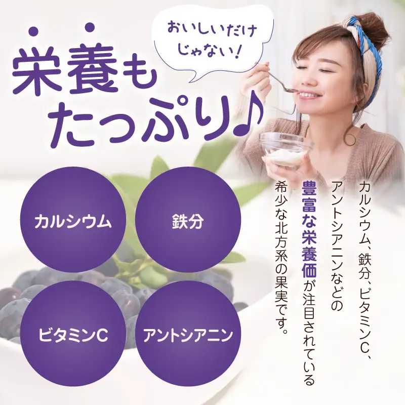 カナダ産 苫小牧市民還元 ハスカップジャム 435g（2瓶） T044-017-02 果物 加工品