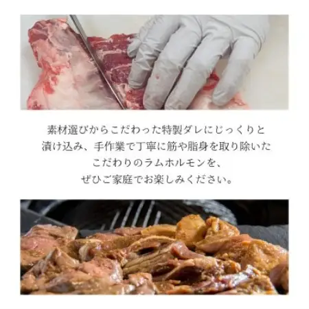 特製タレ 味付き ジンギスカン ラムミックスホルモン 500g 2～3人前 遠野ジンギスカン羊丸・道【配送不可地域：離島】【1708217】