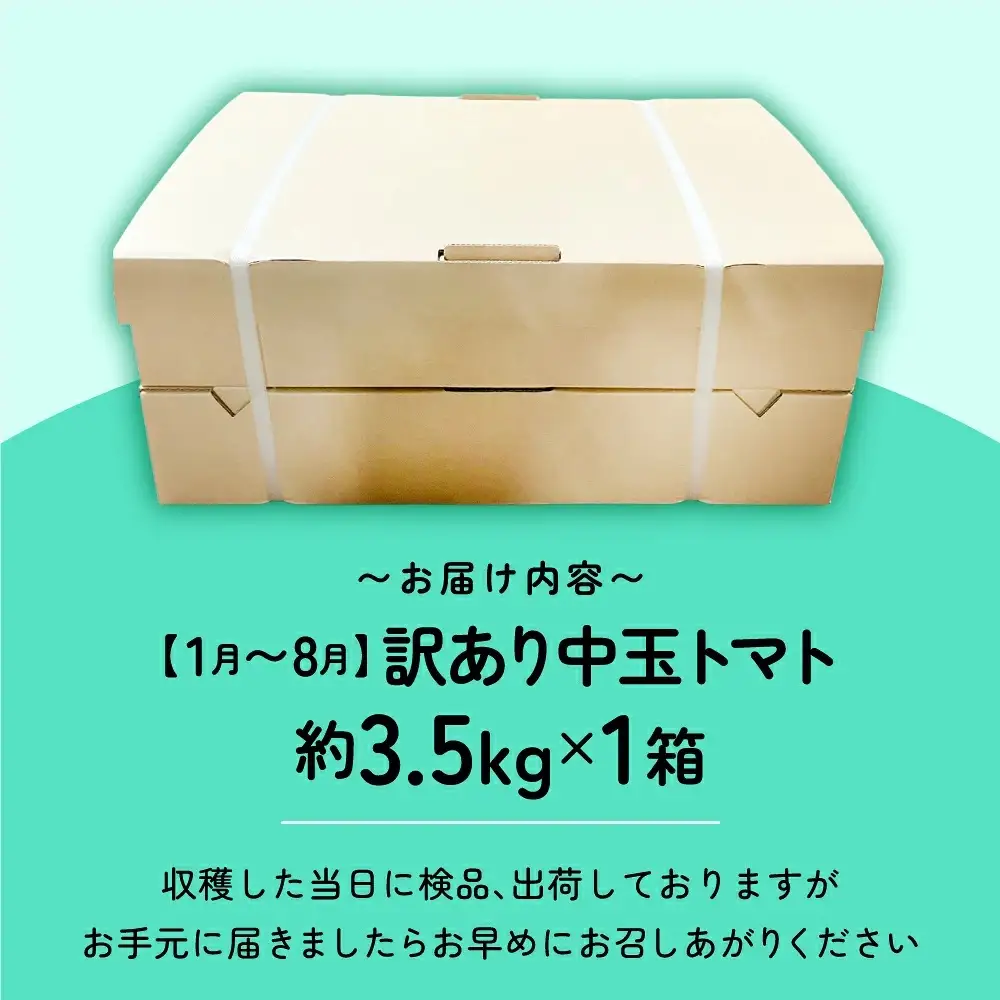 【1月～8月】訳あり 中玉トマト 3.5kg いわきトマト