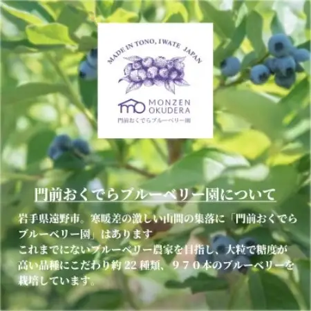 濃縮ジャムタイプ「そのままブルーベリー」100g×3本　門前おくでらブルーベリー園【1738483】