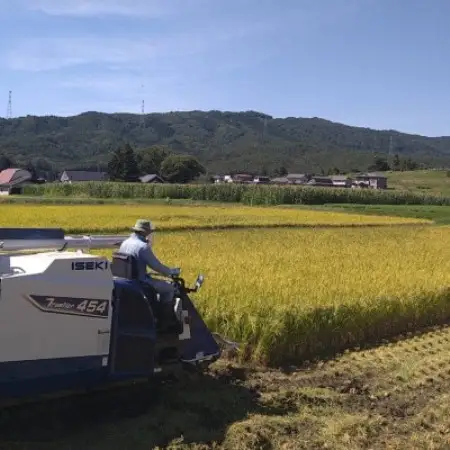 【令和8年産 新米】 ひとめぼれ 玄米 10kg 金取ノ米 岩手県 遠野市 多田農産【1742699】