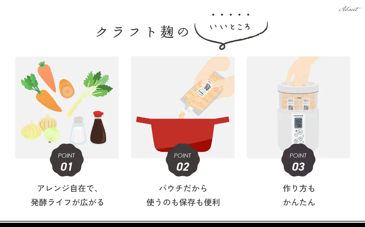 【ヨーグルトメーカー専用】 パウチで作る自家製麹調味料キット 「クラフト麹スタートキット」 多治見市 / タニカ電器販売[TAS032]