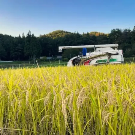 【毎月定期便】ササニシキ 白米 精米 3kg 岩手県遠野市 勘六縁「たけのこ舎」全3回【4088038】