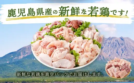 鹿児島県産 若鶏焼肉 約4.2kgセット 若鶏 もも肉 モモ肉 カット 肝 砂肝 手羽中 せせり 焼肉 小分け 鶏肉 冷凍 BS-226