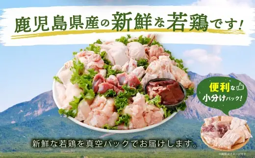鹿児島県産 若鶏まるごと 約3.05kgセット 若鶏 もも肉 モモ肉 カット むね肉 ささみ 砂肝 肝 手羽先 手羽中 手羽元 肩肉 せせり 骨付きもも肉 小分け 鶏肉 冷凍 AS-797