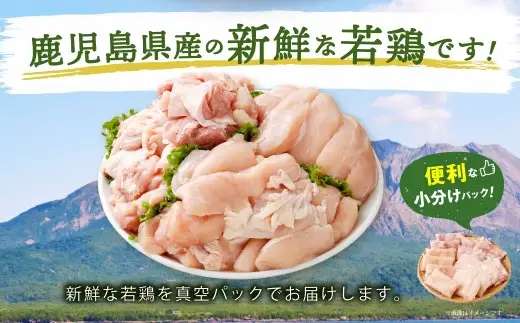 鹿児島県産 若鶏 約4kg ビッグセット 若鶏 もも肉 モモ肉 むね肉 カット ささみ 焼肉 小分け 鶏肉 冷凍 BS-149