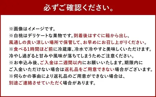 【 贈答用 】 旬のおかやま白桃 3玉 （ 約900g ） 桃 もも モモ 白桃 ピーチ フルーツ 果物 くだもの 果実 おやつ デザート スイーツ 岡山県産 国産 【 2026年7月上旬～8月下旬迄発送予定 】