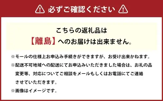 【 榎本ハンバーグ研究所 】 出汁で食べる ハンバーグ ！！ 初代しるばーぐ 3食 セット ハンバーグ丼 しるばーぐ お肉 肉 おにく にく 牛肉 豚肉 惣菜 おかず 冷凍 冷食 簡単調理 国産肉