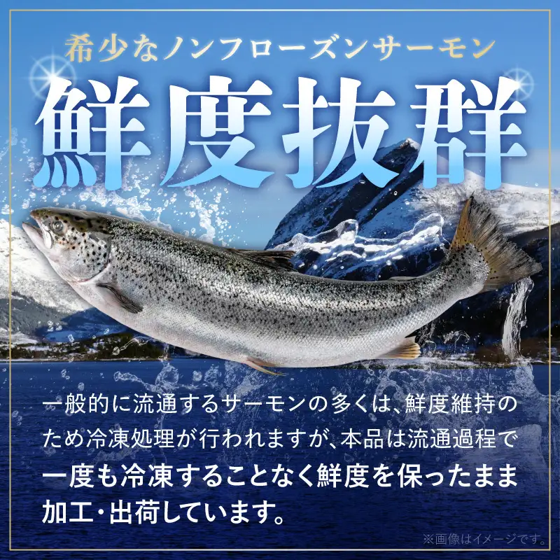 いっちゃんええ【ノンフローズン】生サーモン 全て手作業 約1kg_FJ1001
