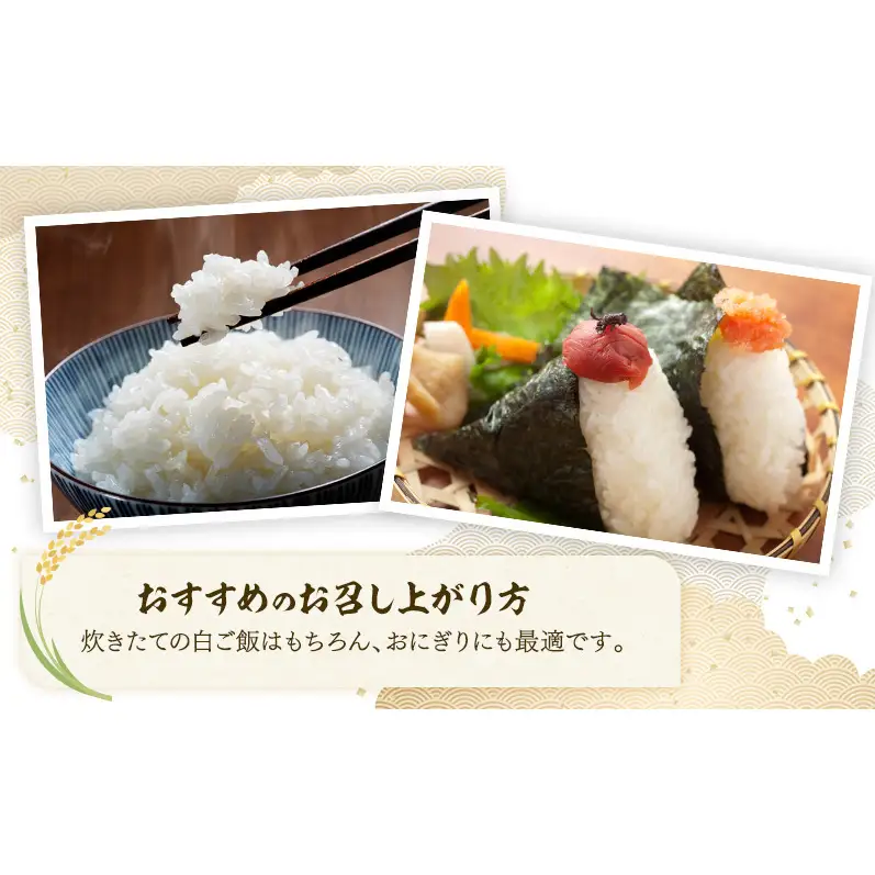 令和7年 新潟県 上越産 厳選米 コシヒカリ 5kg 5キロ しみず屋  上越市 板倉区  精米 こしひかり