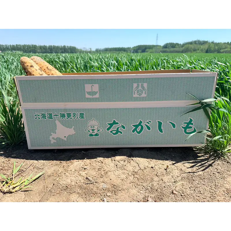 北海道更別村産 土付き長芋 10キロ 長いも ながいも ナガイモ 新鮮野菜 やさい 10kg F21P-1569