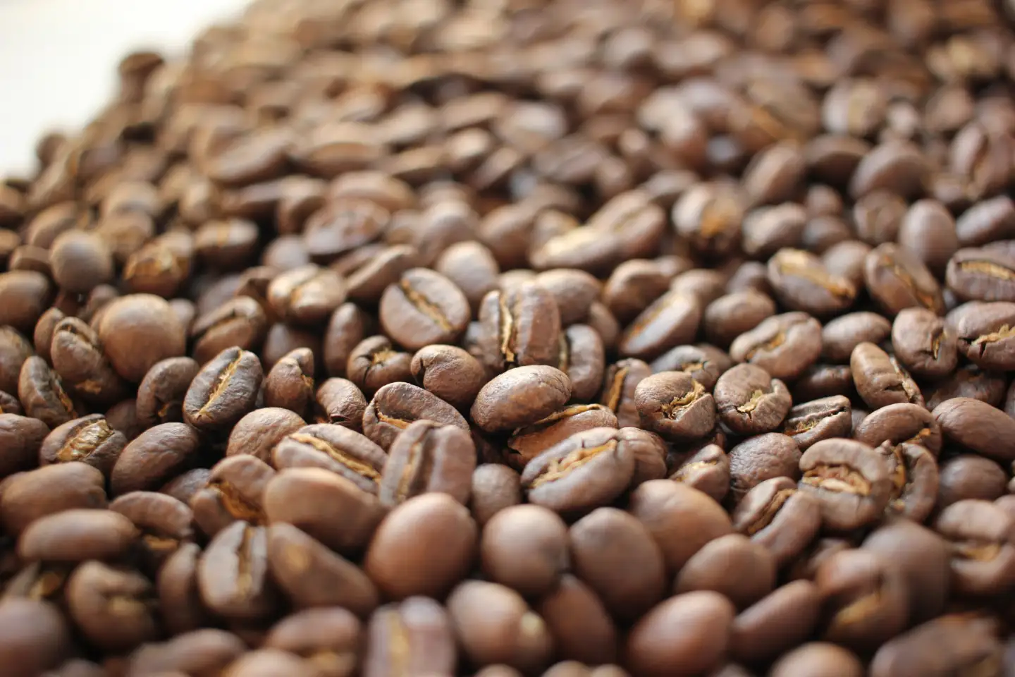 N109(粉)　【受注後焙煎/900g】スペシャルティコーヒー３種飲み比べ（300g×３種）【粉】【珈琲 自家焙煎 詰め合わせ セット スペシャルティ３種類 900g 大阪 八尾市】