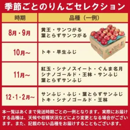 葉とらずりんごジュース2本＆家庭用訳あり 青森県産りんご約2.5kg(品種おまかせ) アソートセット【配送不可地域：離島・沖縄県】【1719619】