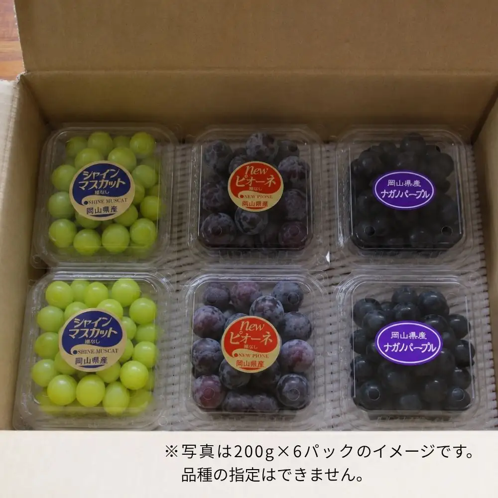 ＜粒パック詰め＞ 真庭市産旬のぶどうミックス３種以上 2.4kg 【beac011-01】