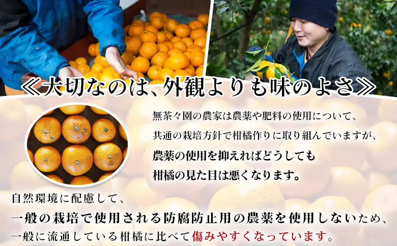 【先行予約】＜無茶々園のポンカン 約5kg＞ 果物 くだもの フルーツ ぽんかん みかん 蜜柑 柑橘類 かんきつ 旬 甘い 濃厚 新鮮 期間限定 季節限定 産地直送 特産品 愛媛県 西予市 【常温】『2027年1月～2月中旬に順次出荷予定』AMC0061