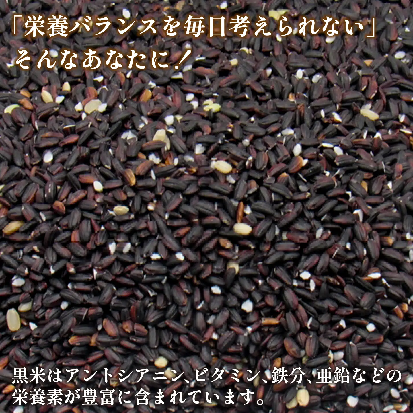 古代米 黒米 1kg (500g×2袋)  雑穀米 玄米 米 [JDB405]