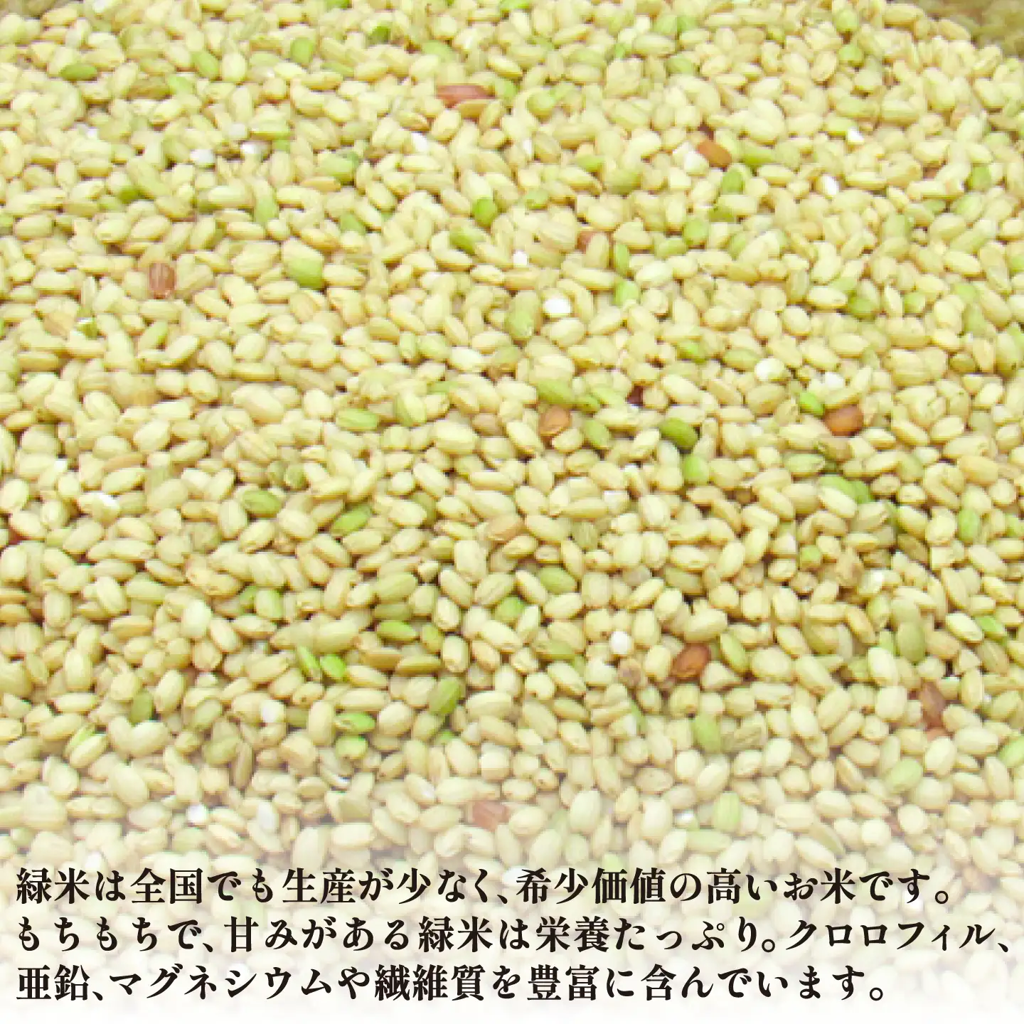 【先行予約】古代米 1.5kg JDB406