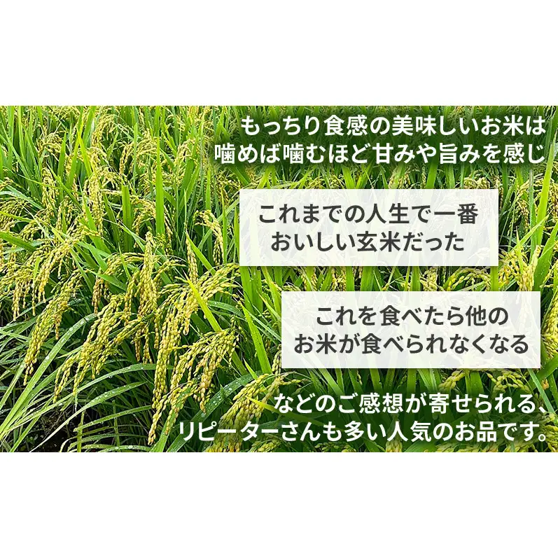 米 コウノトリ舞う田んぼで大自然が育てた"有無ファーム"こだわり米 白米 10kg 精米 お米 栽培期間中農薬・化学肥料不使用
