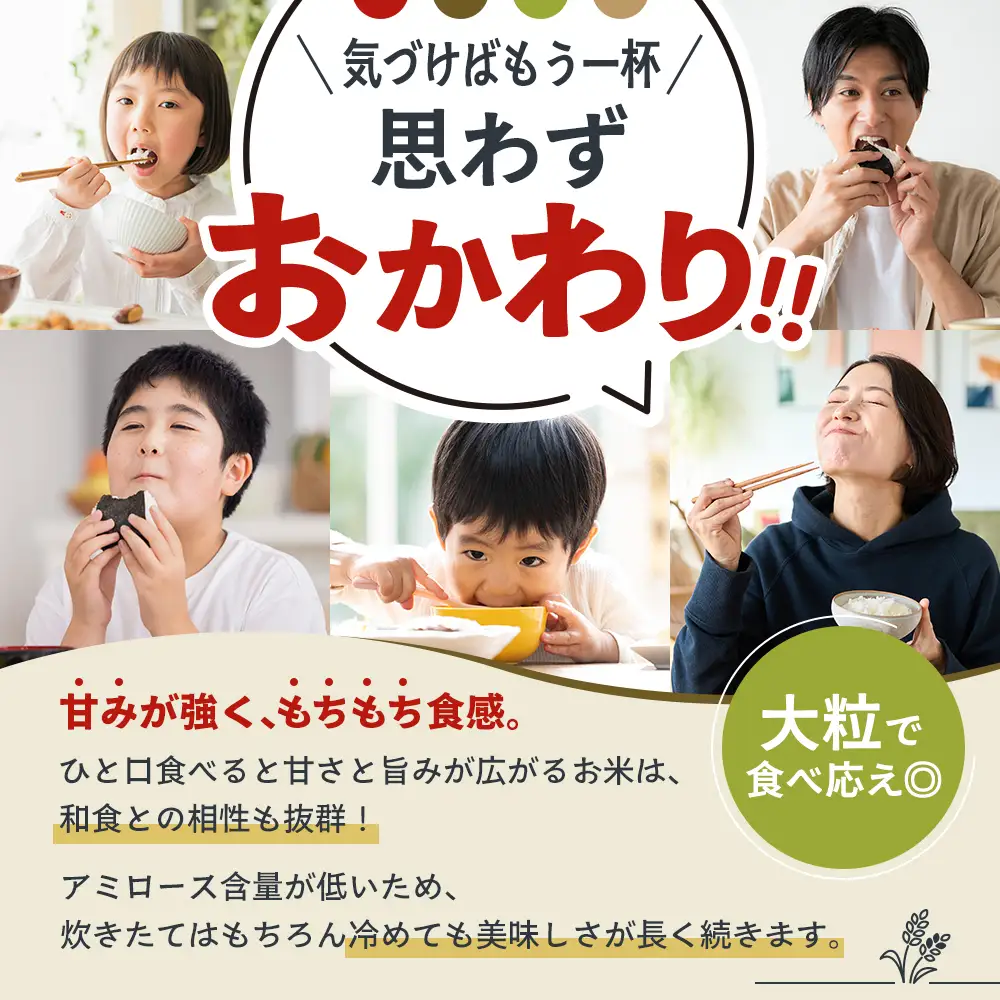 しきゆたか 令和8年産 白米 単一原料米 しきゆたか【5kg】【2026年12月発送】