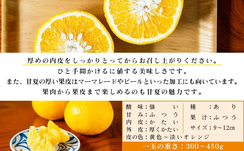 【先行予約】＜無茶々園の甘夏 約5kg＞ 果物 あまなつ みかん ミカン 蜜柑 柑橘 フルーツ 期間限定 季節限定 食べて応援 特産品 愛媛県 西予市 【常温】『2027年3月～5月上旬迄に順次出荷予定』AMC0062