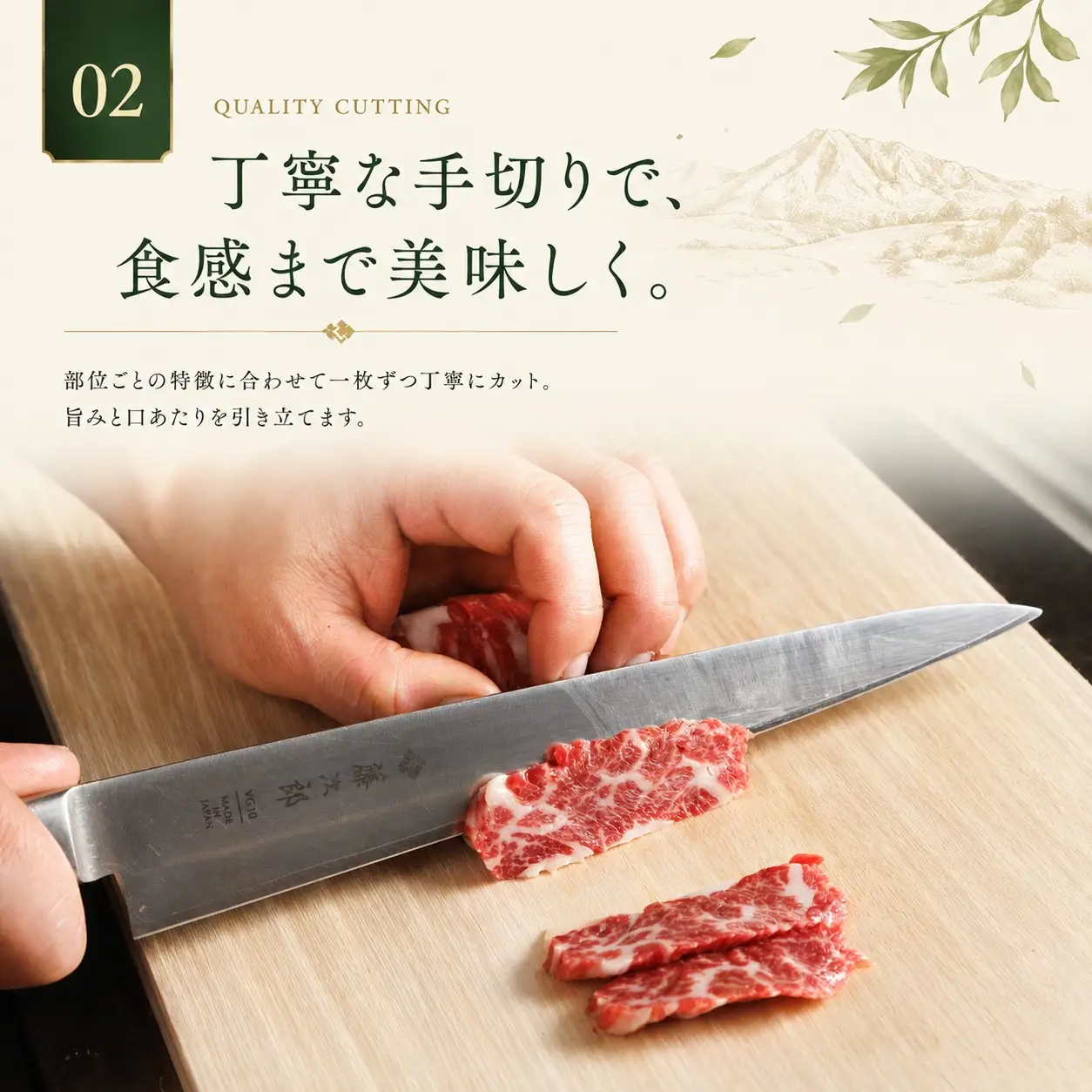 海外産 馬刺し 赤身 1000g（100g×10p） 馬刺しの長野屋【017-31】