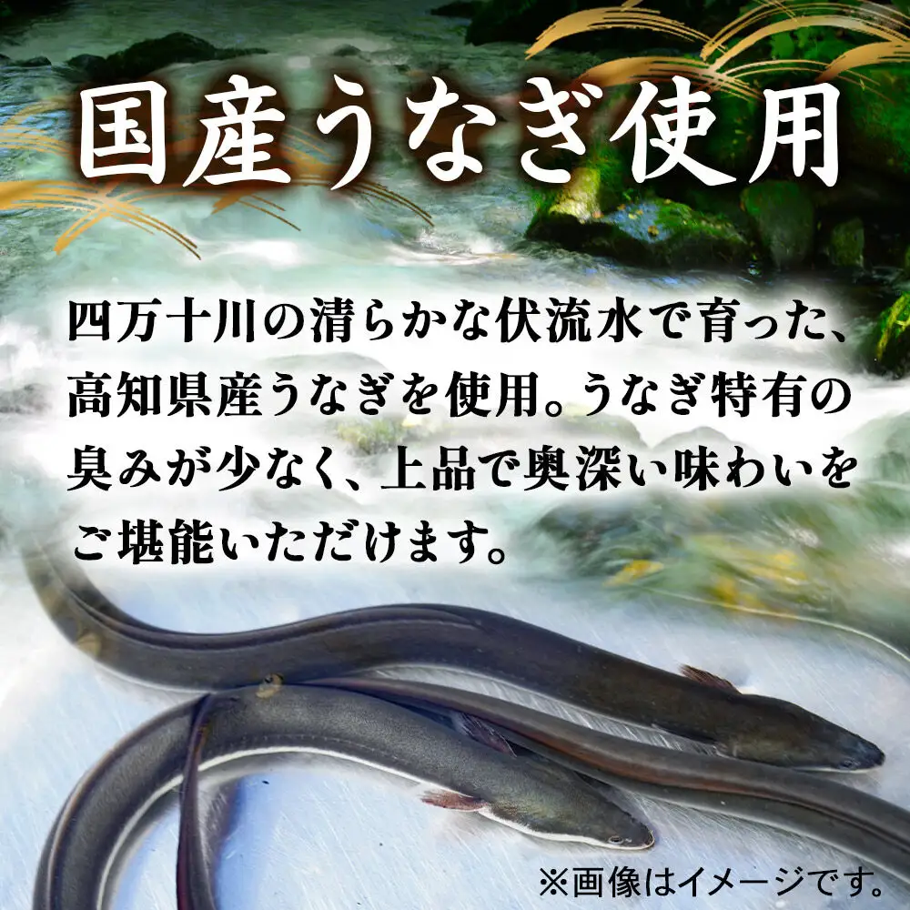 国産うなぎ蒲焼 450g(1パック150g×3) 高知県産
