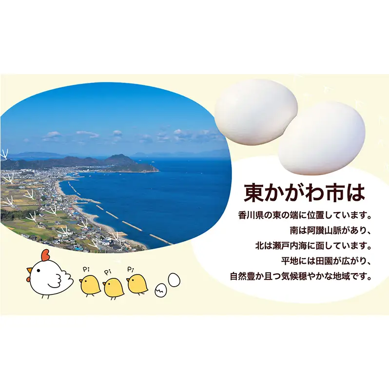 東かがわ市のたまご「鶏卵Mサイズ（10個×10P）」割れ保障1p含む たまご 卵 鶏卵